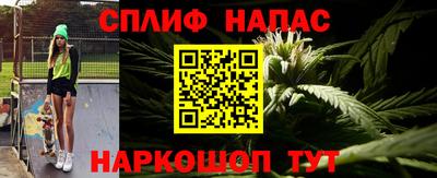 прущие грибы Ирбит