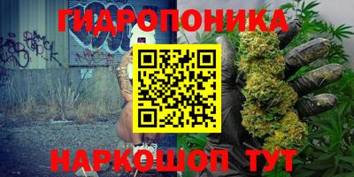 прущие грибы Ирбит