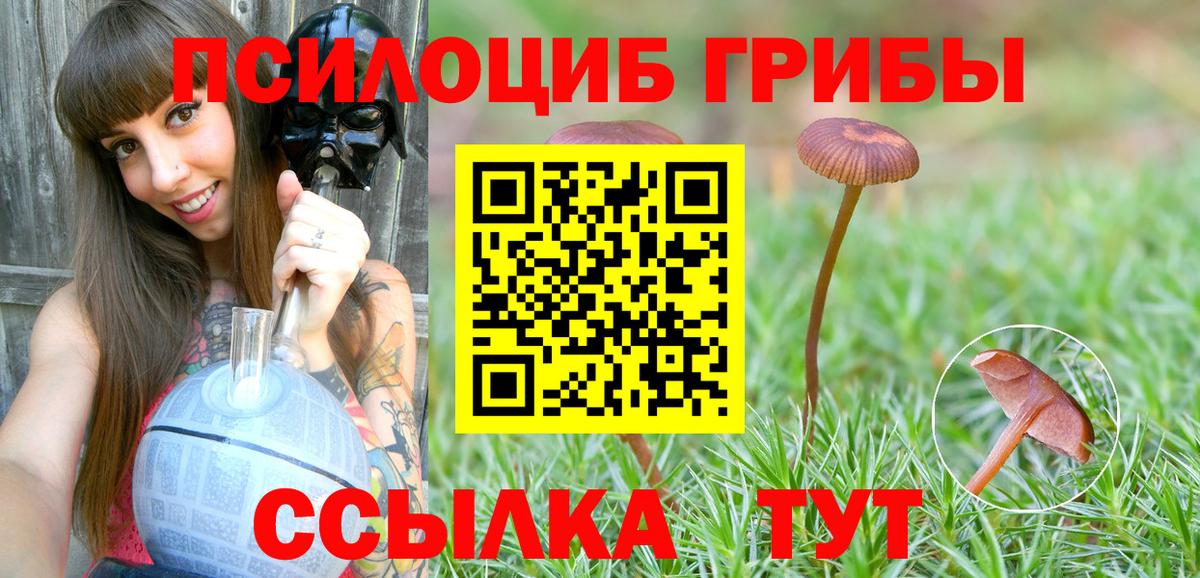 Галлюциногенные грибы Psilocybine cubensis Кулебаки