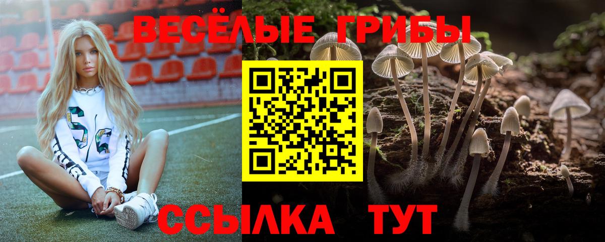 Кулебаки  Псилоцибиновые грибы Psilocybe  Вход с VPN 